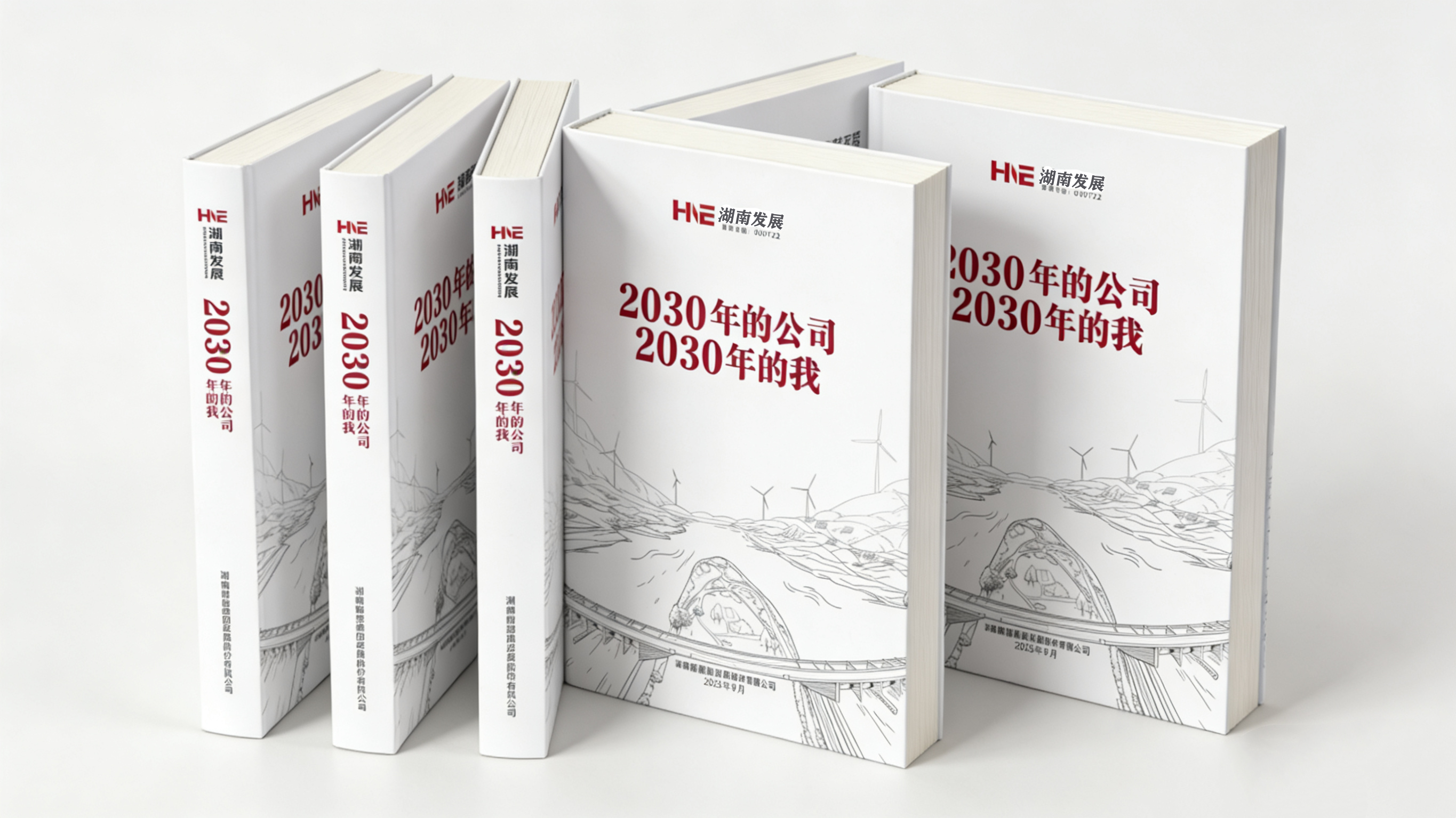 匯聚奮進(jìn)力量  共話未來藍(lán)圖——湖南發(fā)展“2030年的公司2030年的我”系列主題活動圓滿收官
